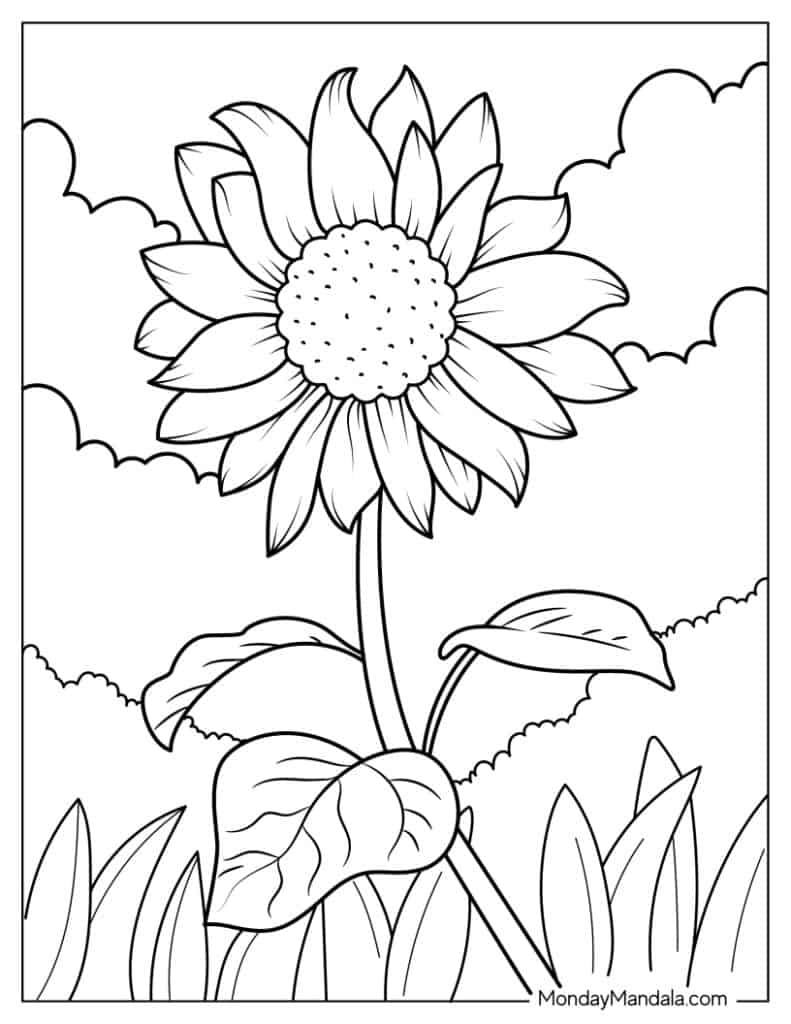 printable flower pictures pdf
