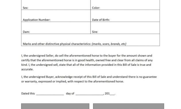 Horse Template Printable 121 Horse Bill Of Sale 791X1024 With Horse 