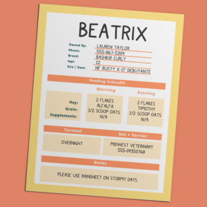  Printable Horse Stall Card Template LearningHorses