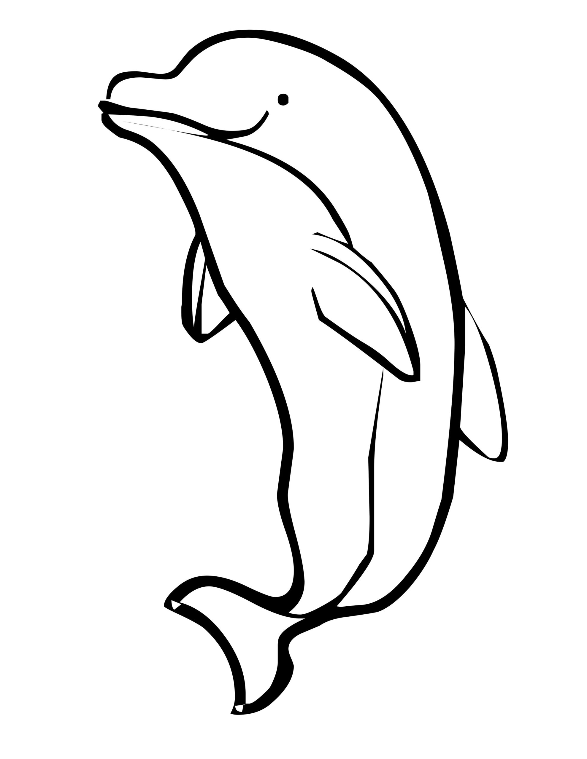 printable pictures of dolphins