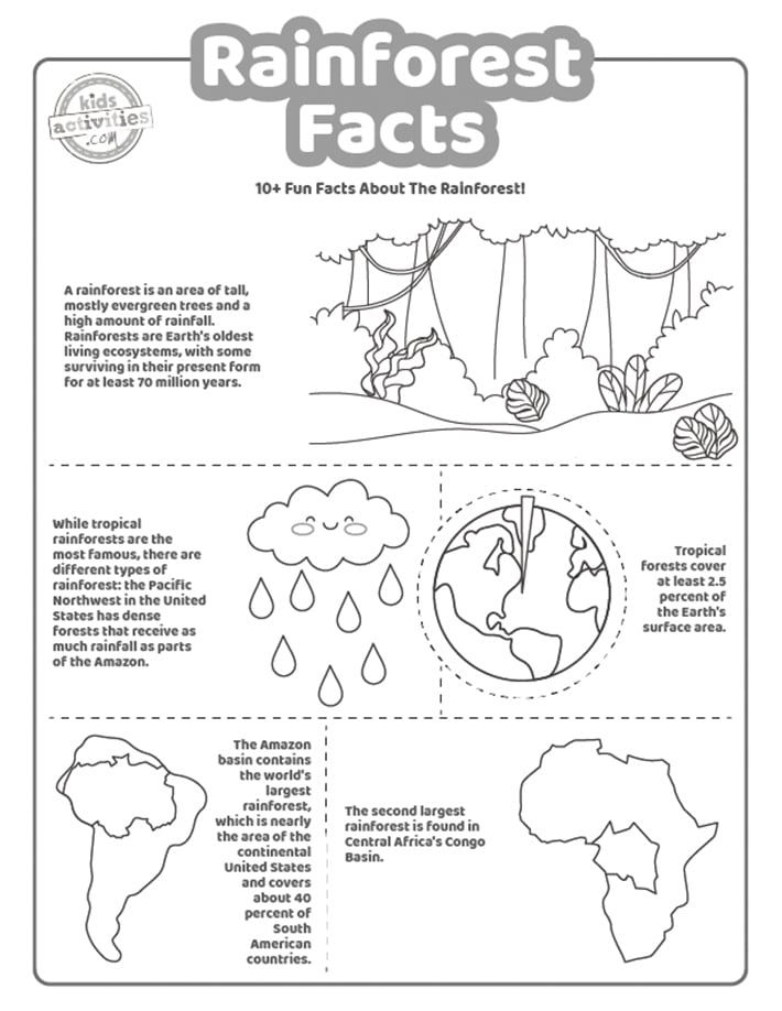 10 Rainforest Facts For Kids Printable Worksheets Kids