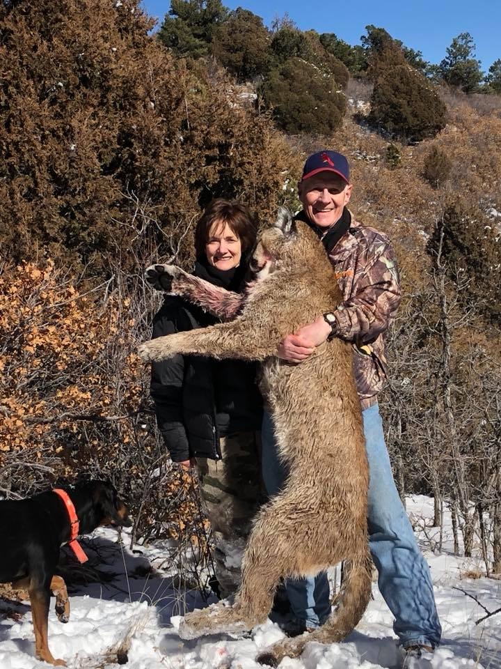 colorado mountain lion outfitters