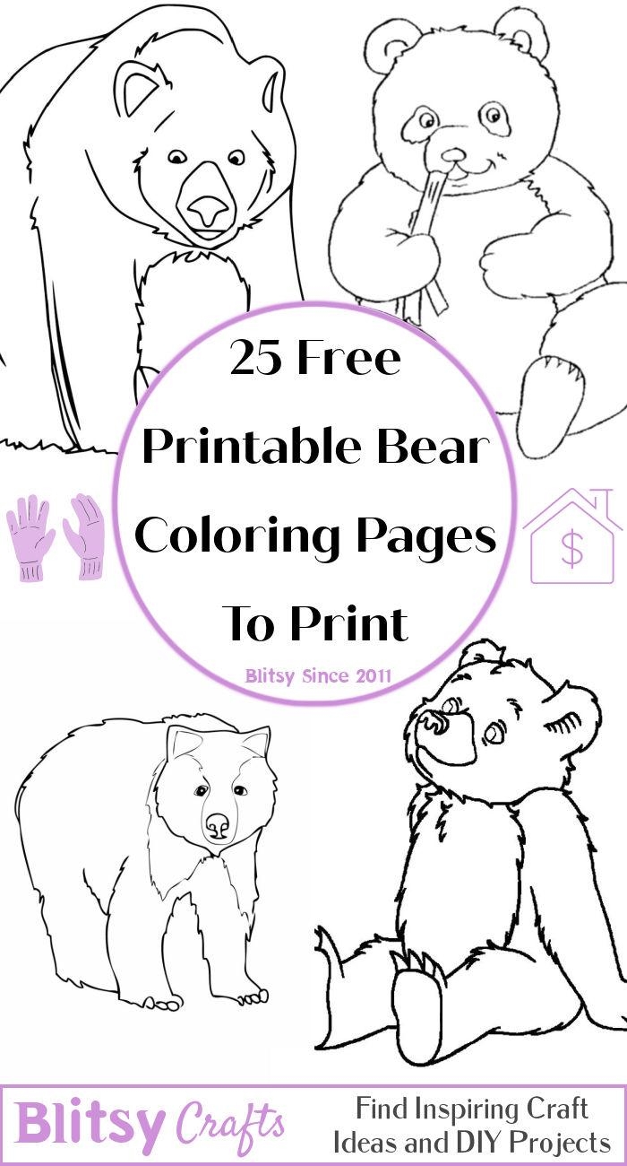 25 Free Bear Coloring Pages For Kids And Adults Blitsy
