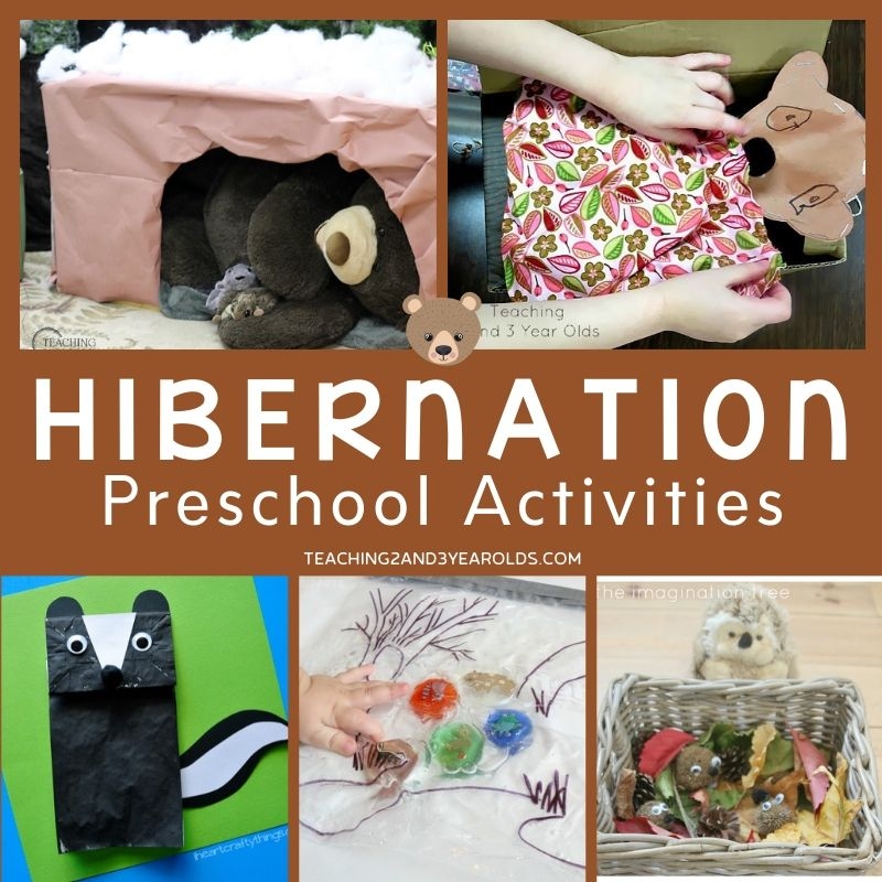 25 Of The Best Preschool Hibernation Activities