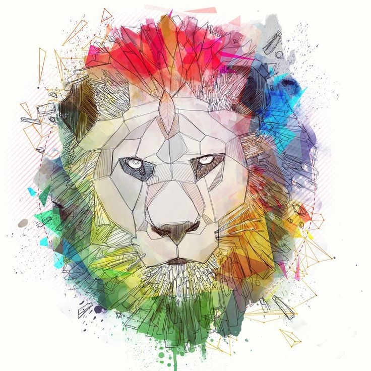 26 Best Colorful Lion Tattoo Mane Drawings Images On Pinterest Tattoo 