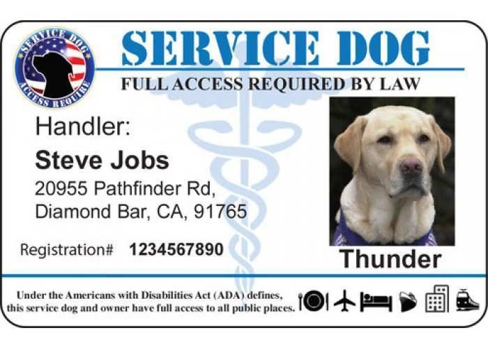 29 Printable Free Printable Service Dog Id Card Template For Free By