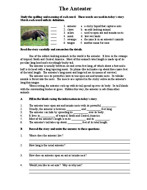 middle school reading activities printable