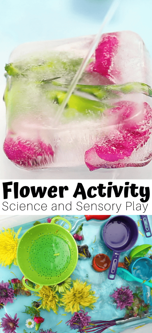 3 In 1 Flower Activities For Preschoolers And Spring Science Artofit
