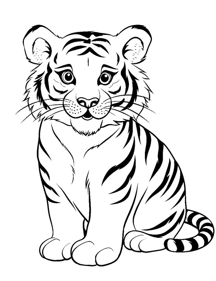 30 Tiger Coloring Pages Free Printable Sheets Zoo Coloring Pages