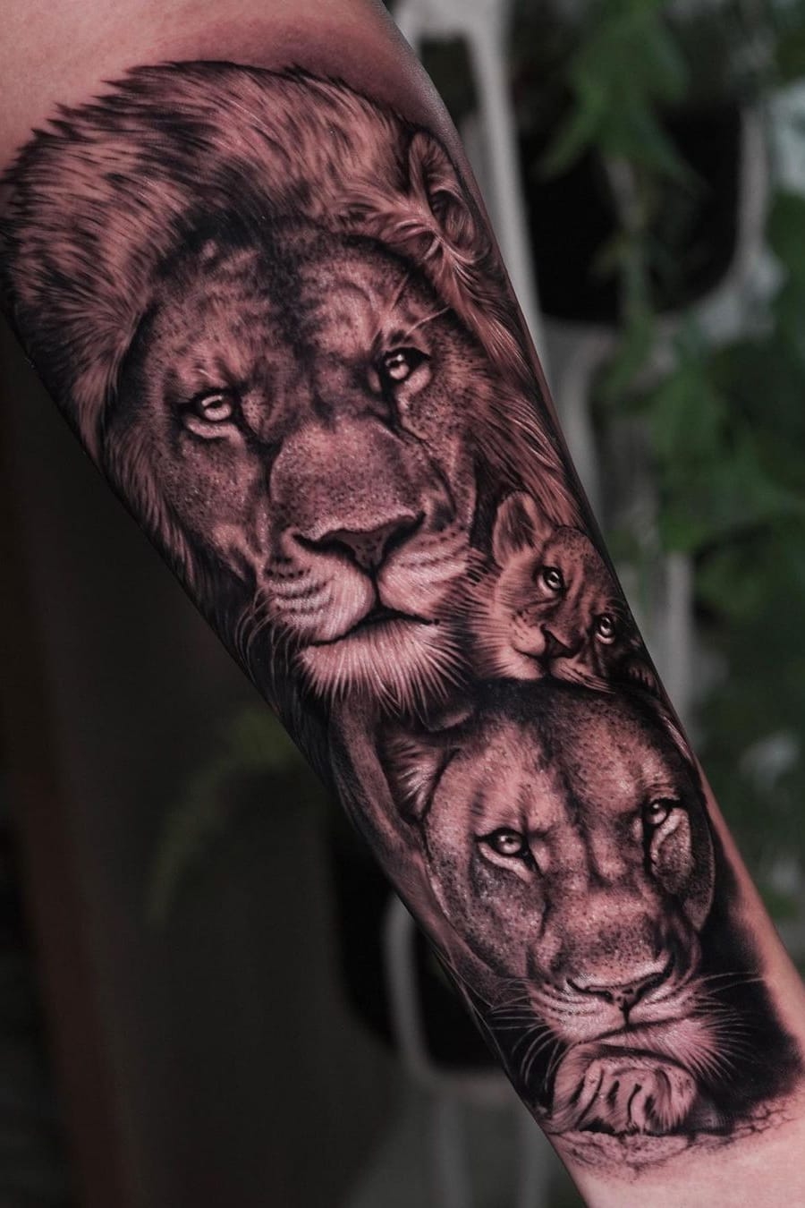 37 Extraordinary Lion Tattoo Designs