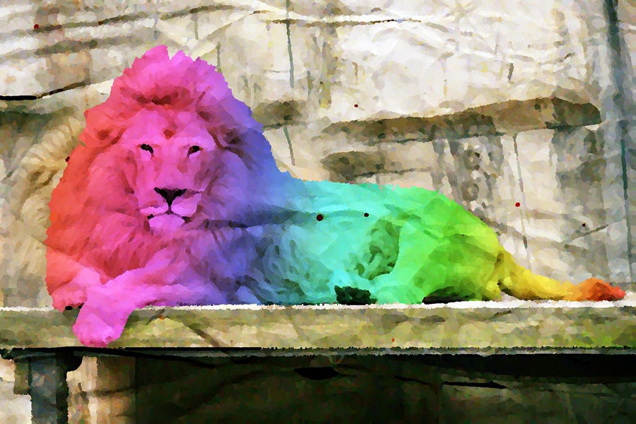  39 Rare Lion Rainbow 39 By AandiWarhol On DeviantArt