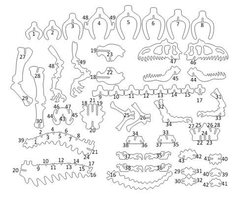 3d Dinosaur Puzzle Template New Concept