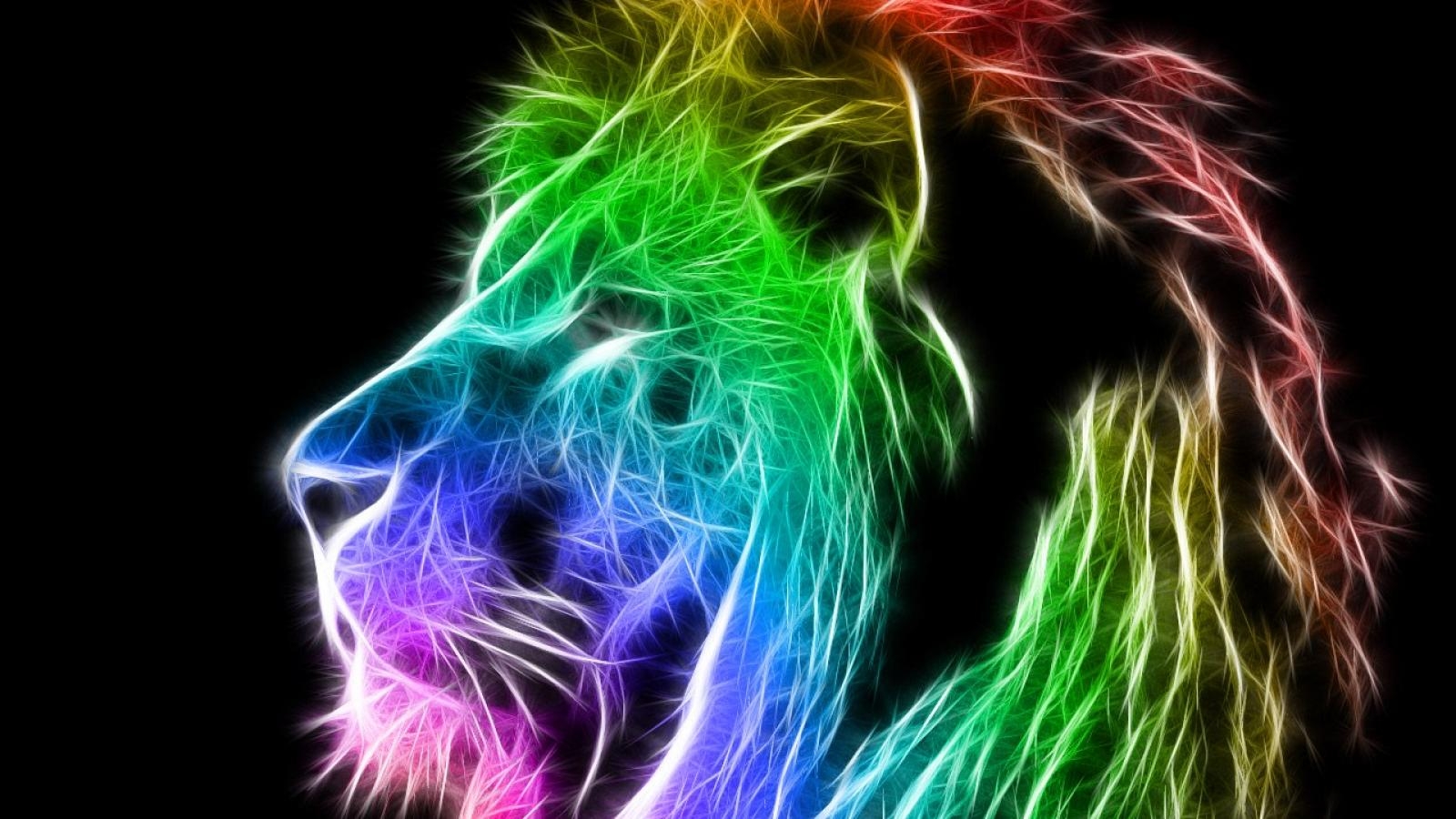 lion wallpaper colorful