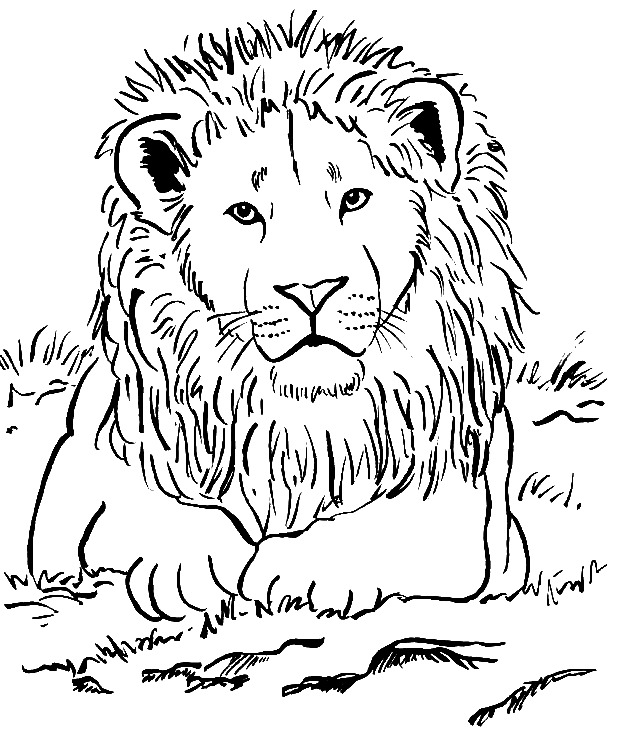 free lion coloring page