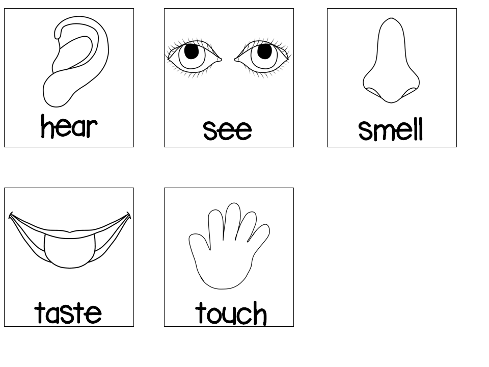 5 senses pictures printable