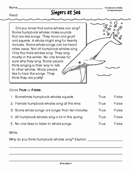 50 Nonfiction Text Features Worksheet