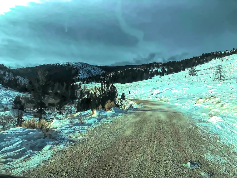 colorado record mountain lion