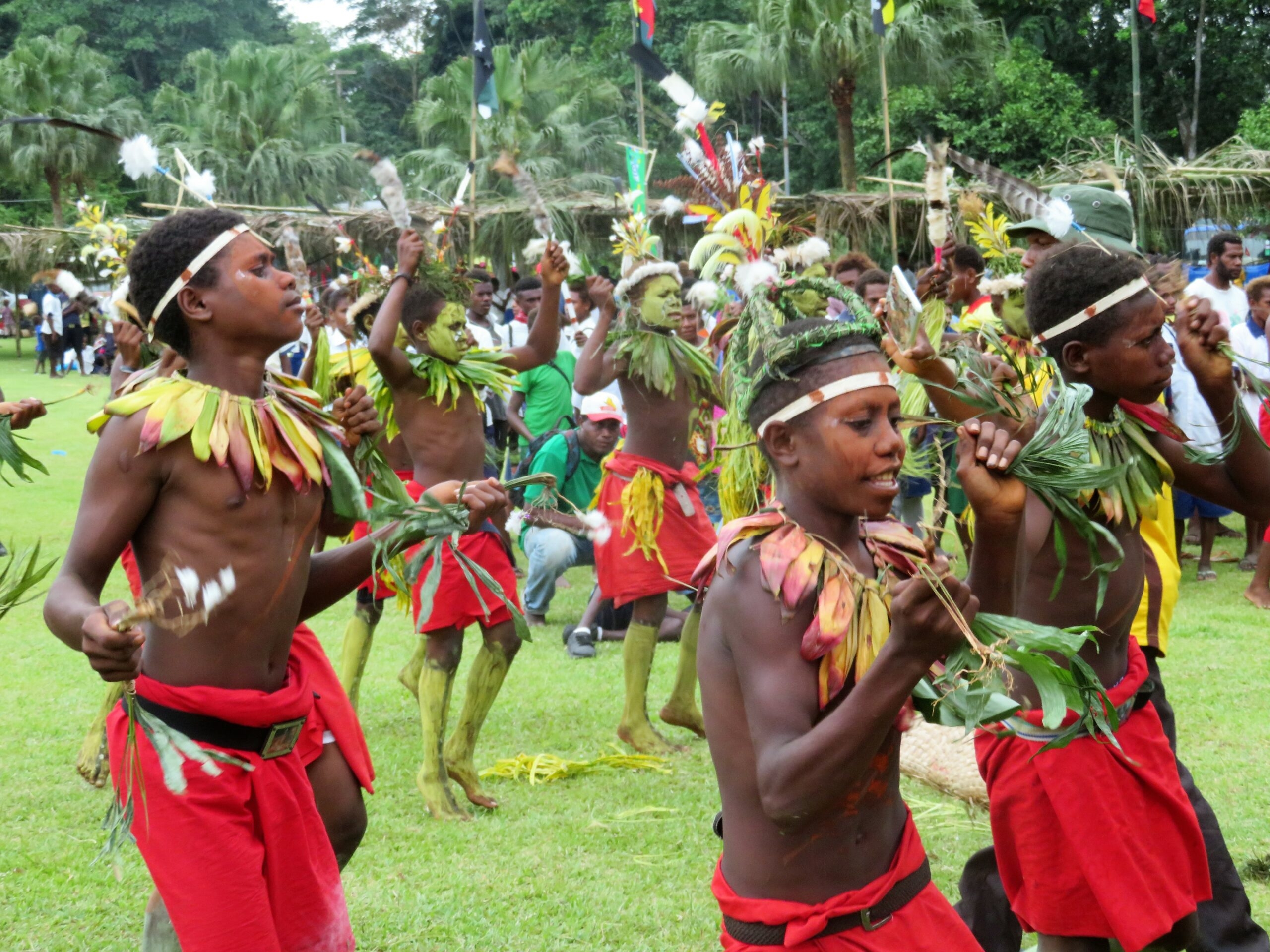 Activity Areas Papua New Guinea Oisca International