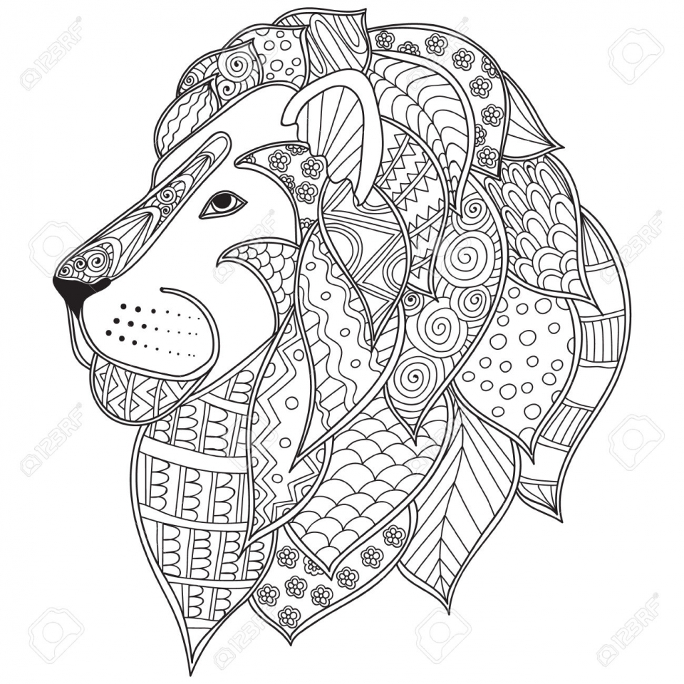 Adult Coloring Lion Coloring Pages