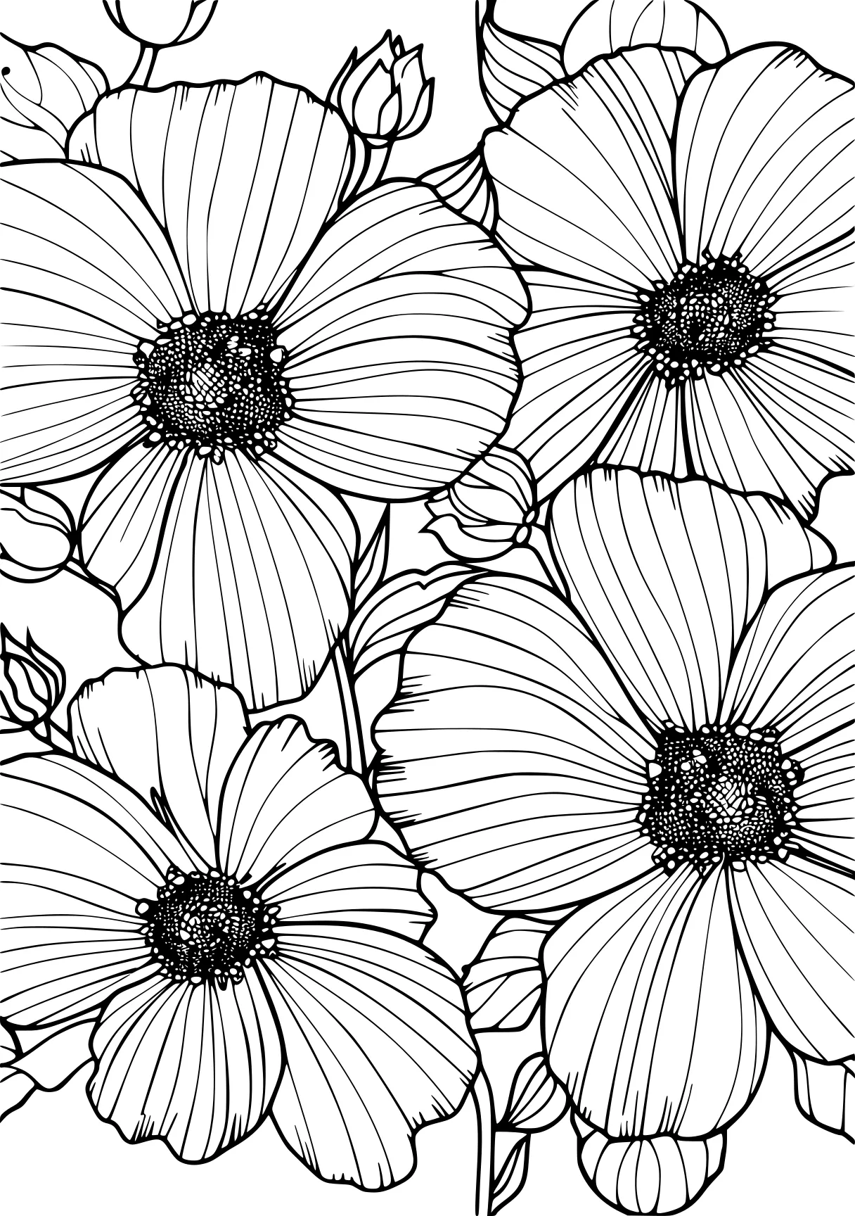 Adult Coloring Printable Coloring Page Bear Koala Bears Download 