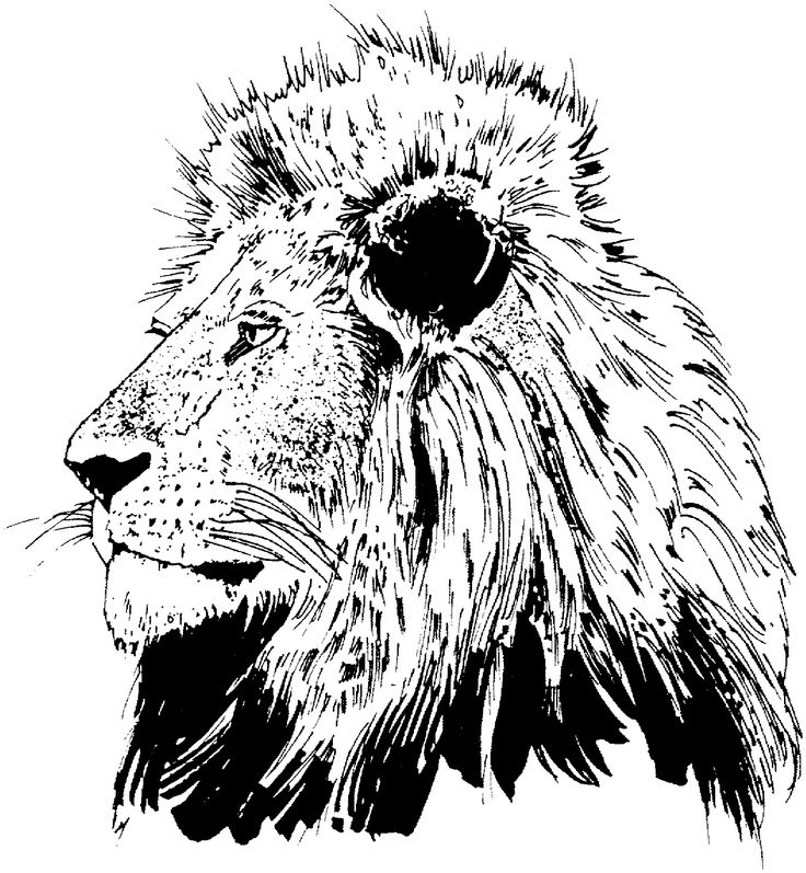 lion face coloring