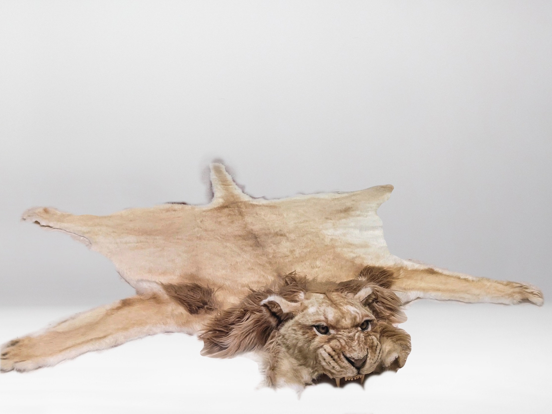lion skin color
