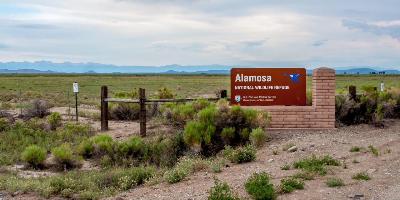 Alamosa National Wildlife Refuge Alamosa CO Uncover Colorado