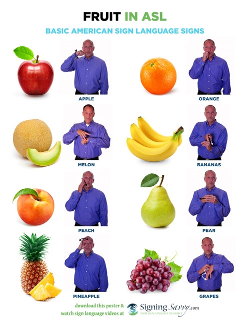american sign language dictionary with pictures printables