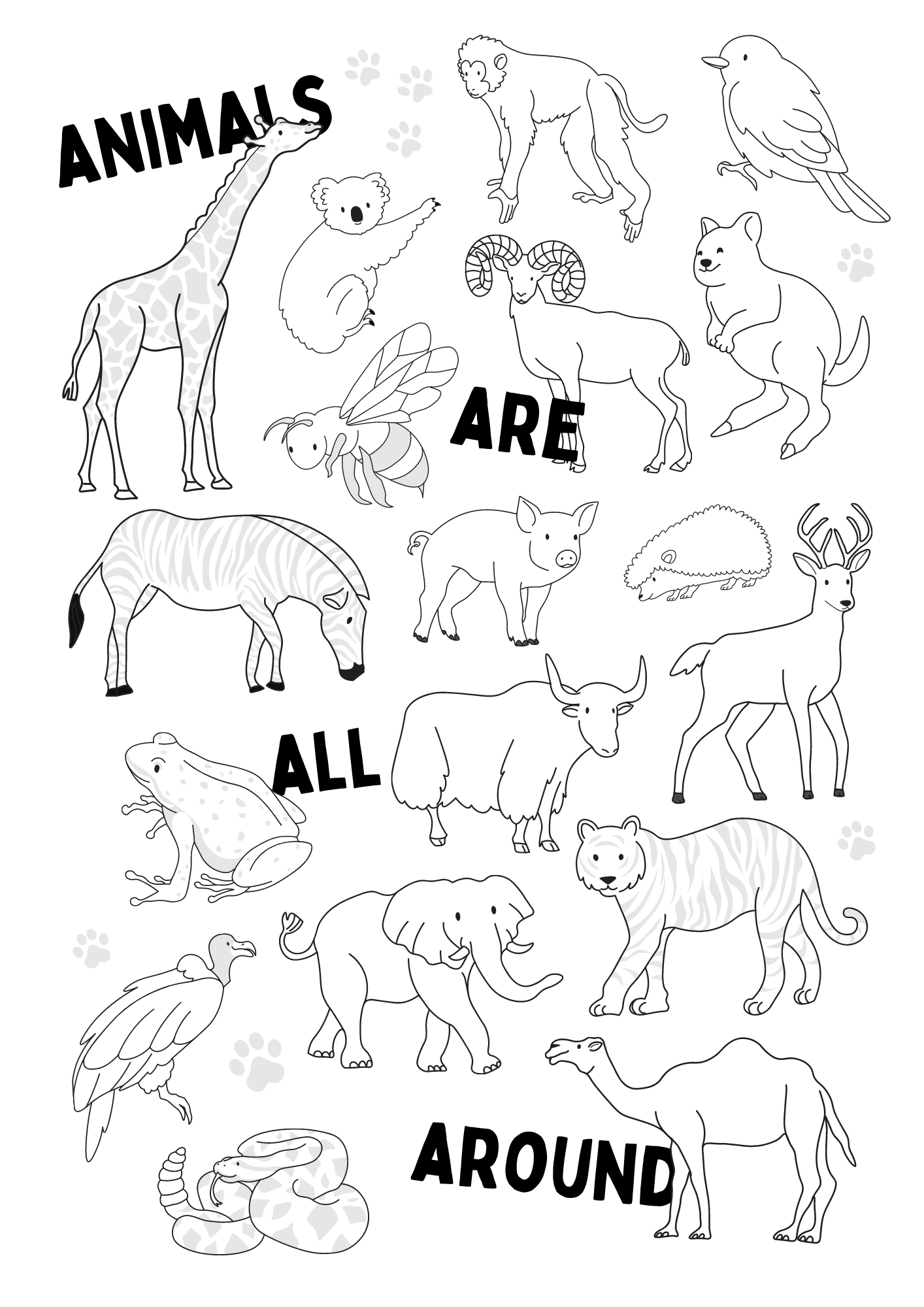 Animals Coloring Page Printable Miss Pursuit