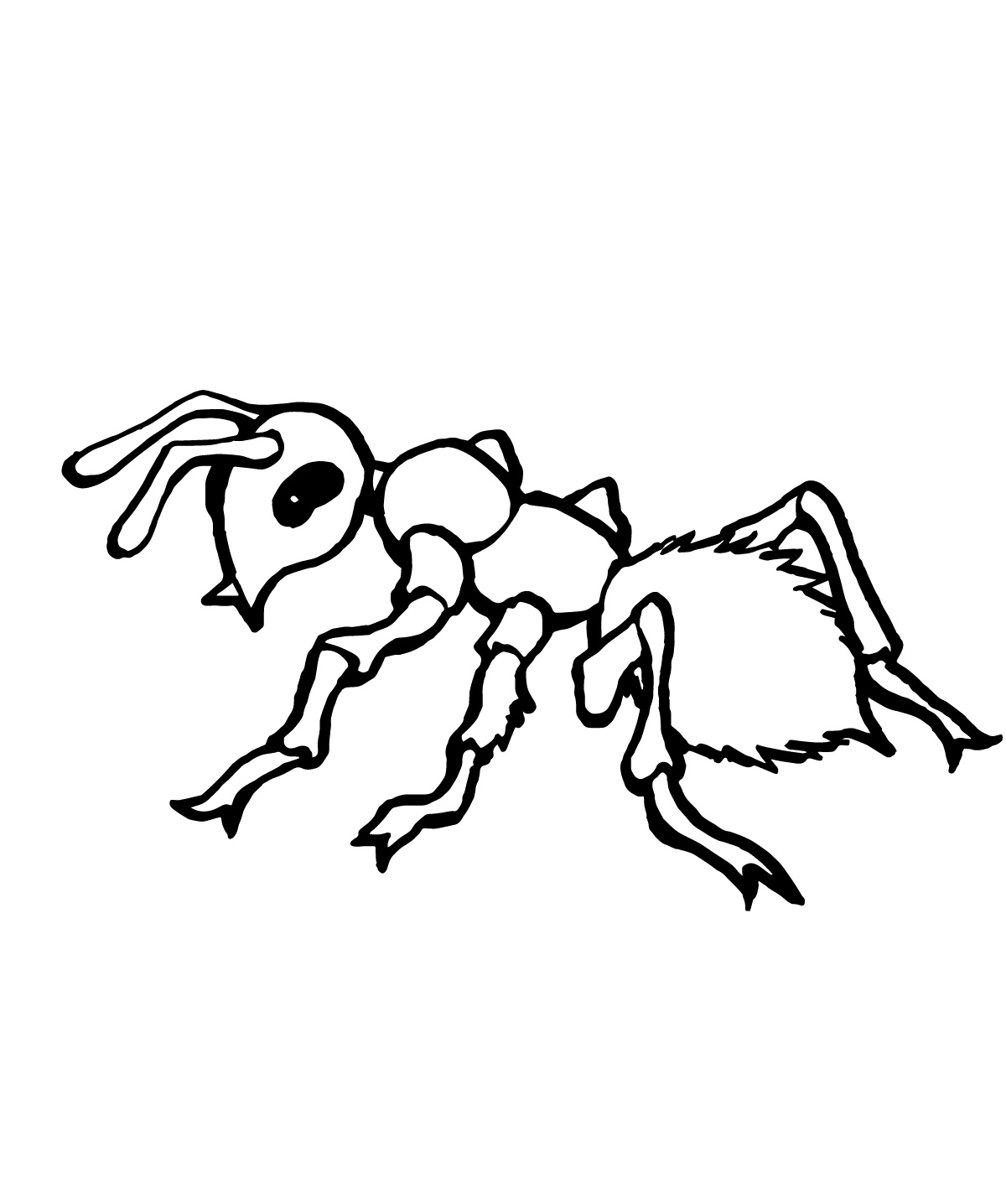 Ant Printable Printable Word Searches