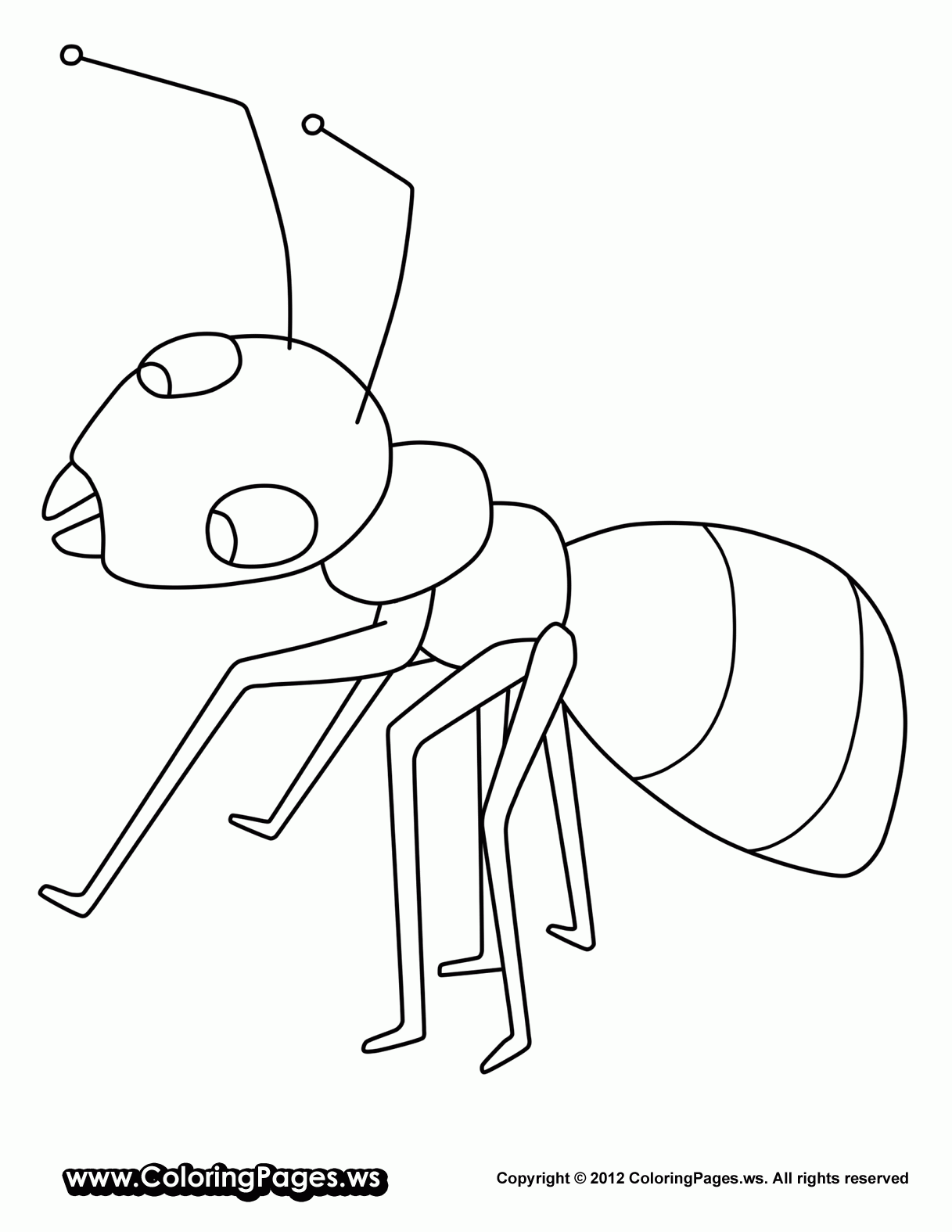 Ant Template Printable