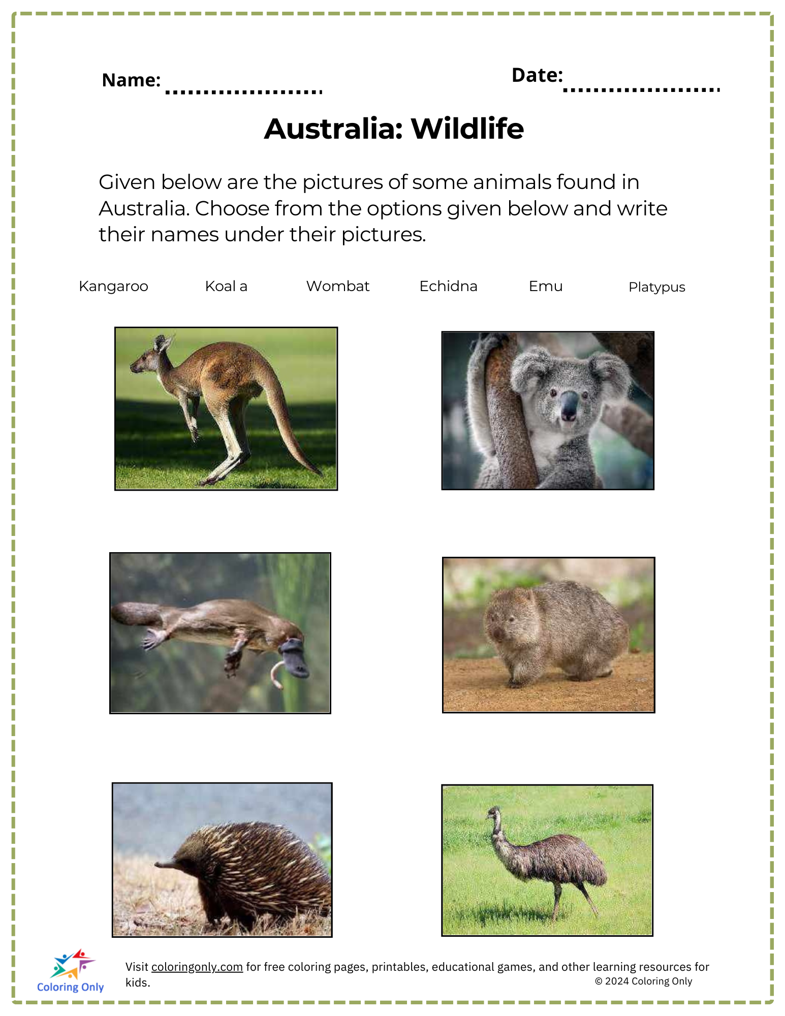 Australia Beaches Free Printable Worksheet
