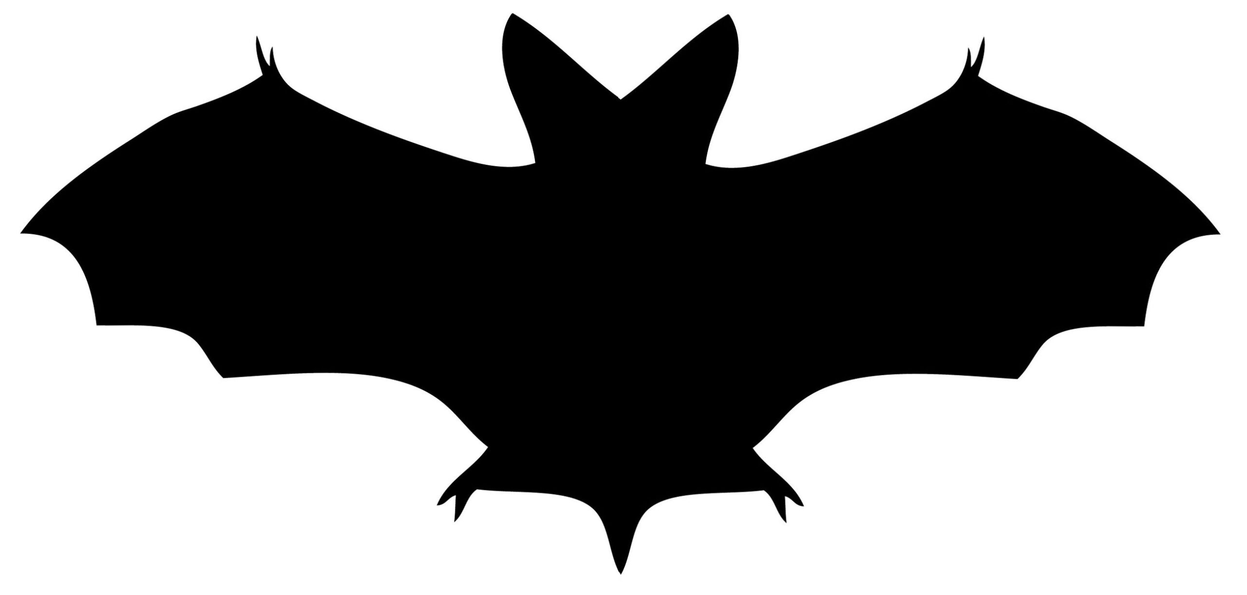 Bats Clipart Printable Bats Printable Transparent FREE For Download On