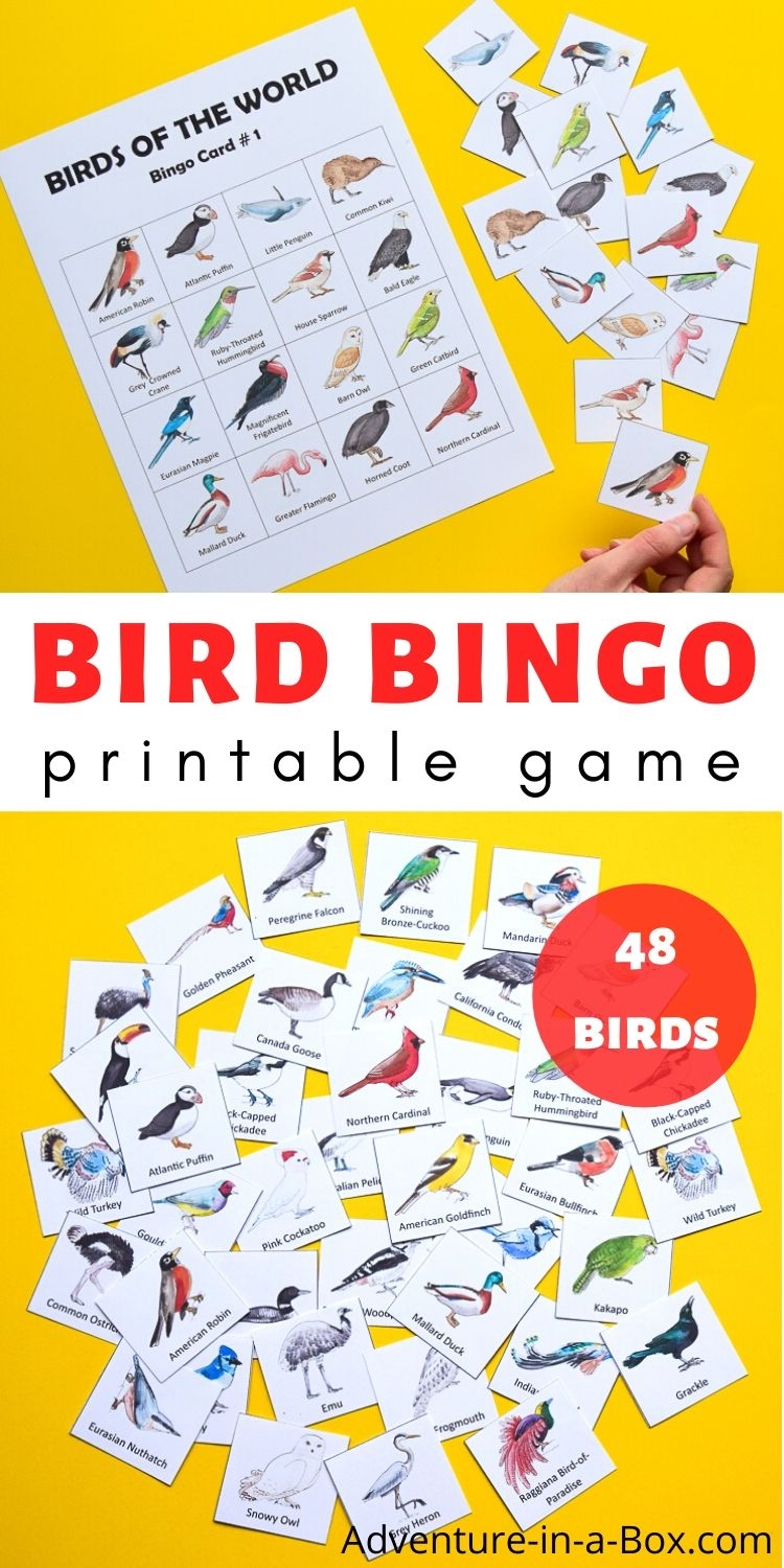 Bird Bingo Free Printable