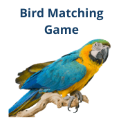 free printable bird matching game