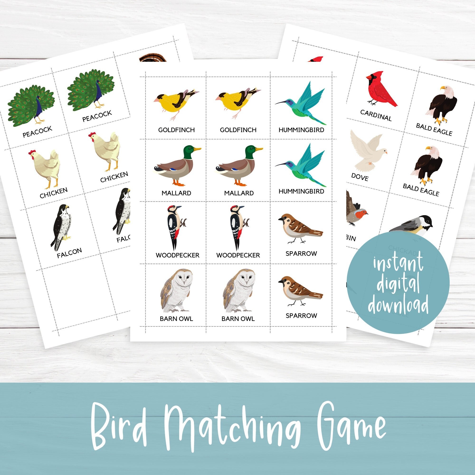 Bird Matching Game Homeschool Printable Homeschool Preschool 