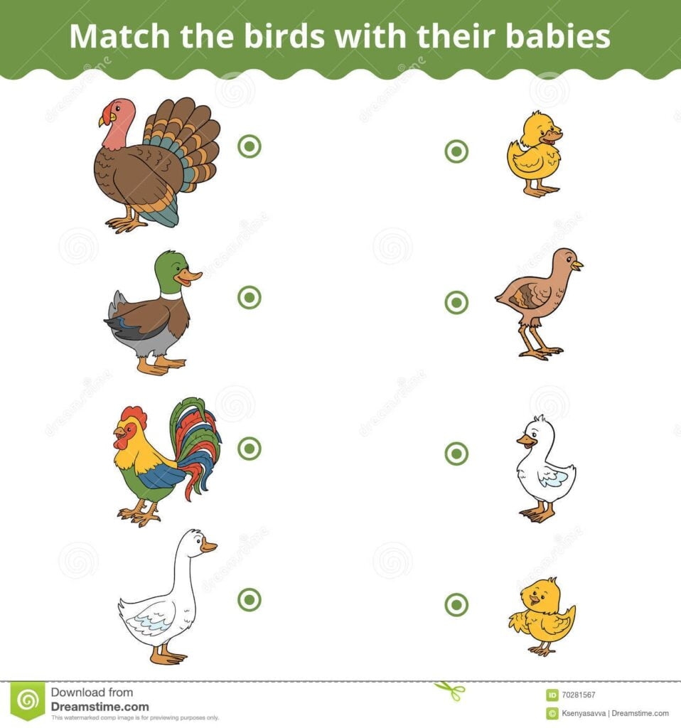Bird Matching Game Printable Free Printable Templates