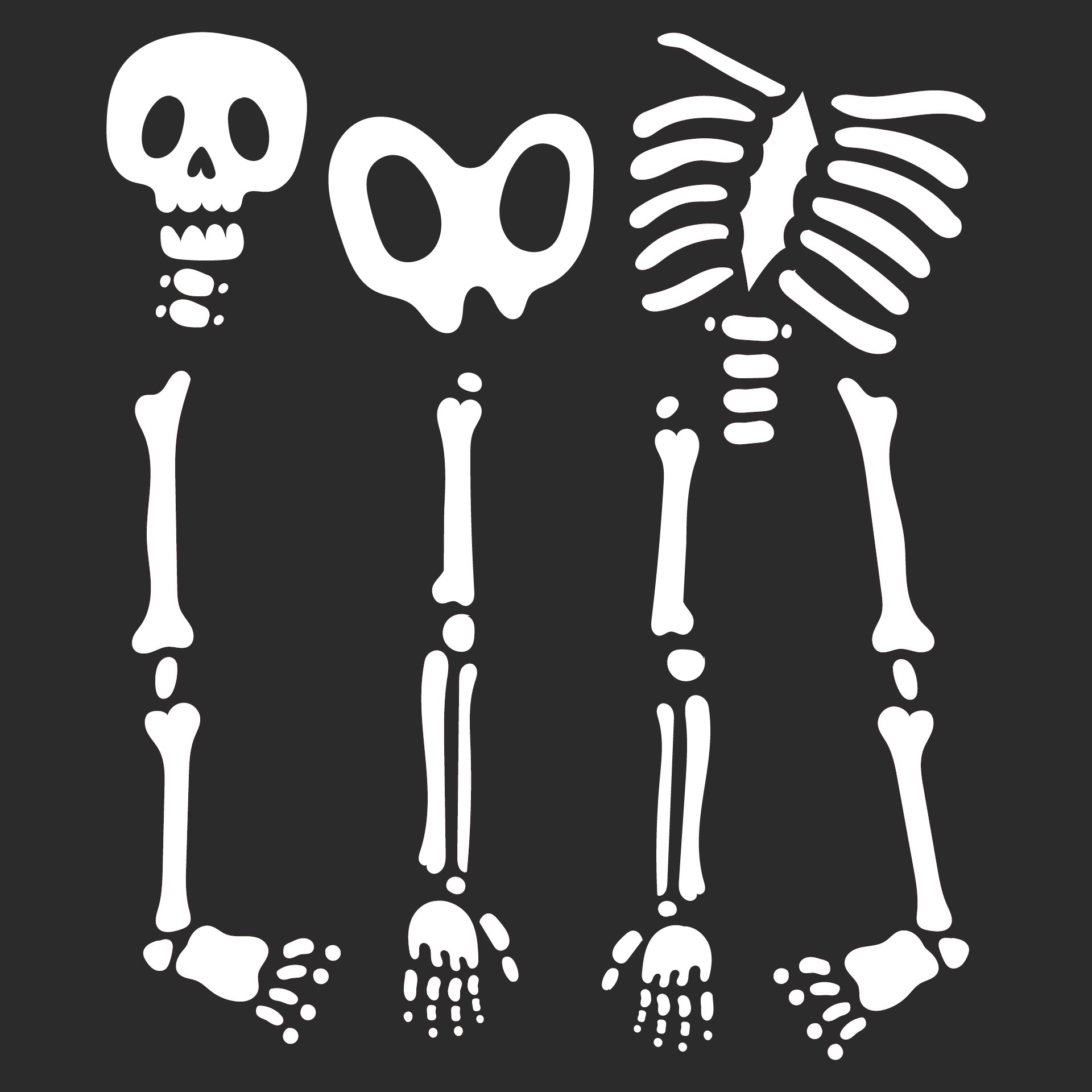 printable skeleton pictures