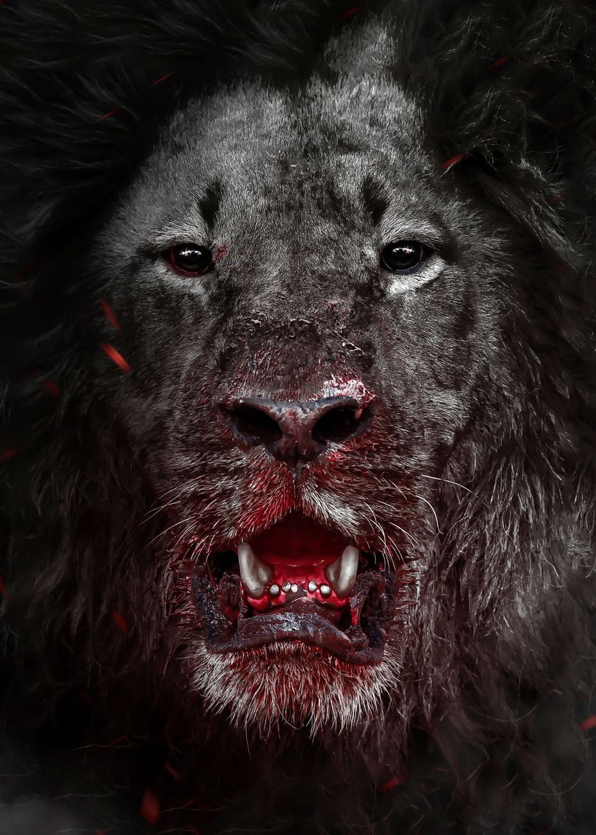 Bloody Lion Wallpapers Wallpaper Cave