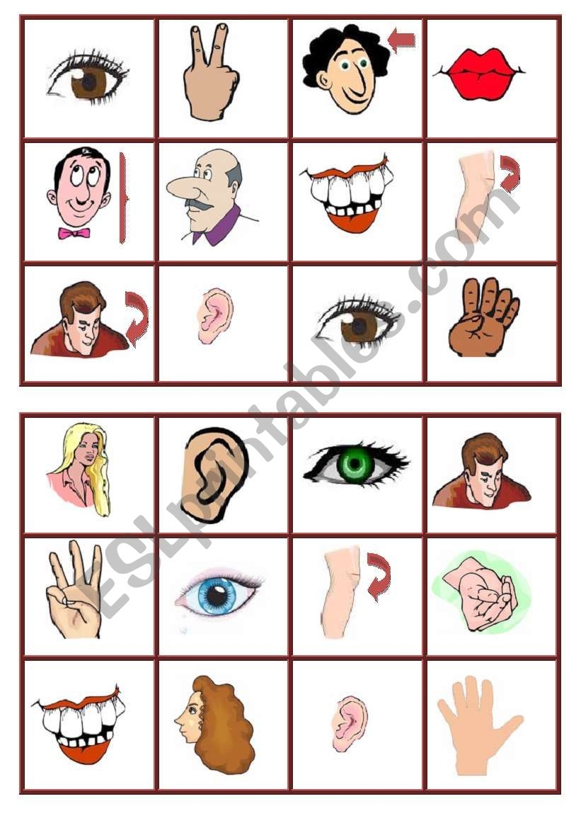 Body Parts Bingo 1 Esl Worksheetagunda Printable Bingo Cards