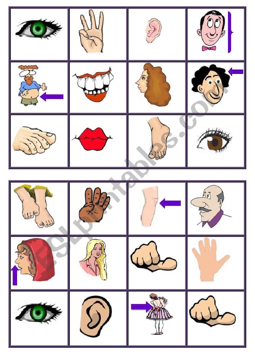 Body Parts Bingo 2 Esl Worksheetagunda Printable Bingo Cards