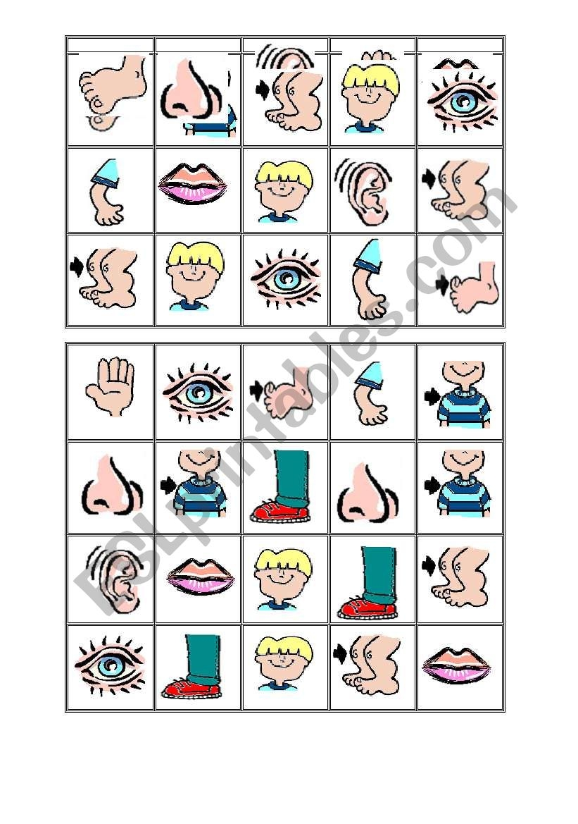 free printable body parts bingo games