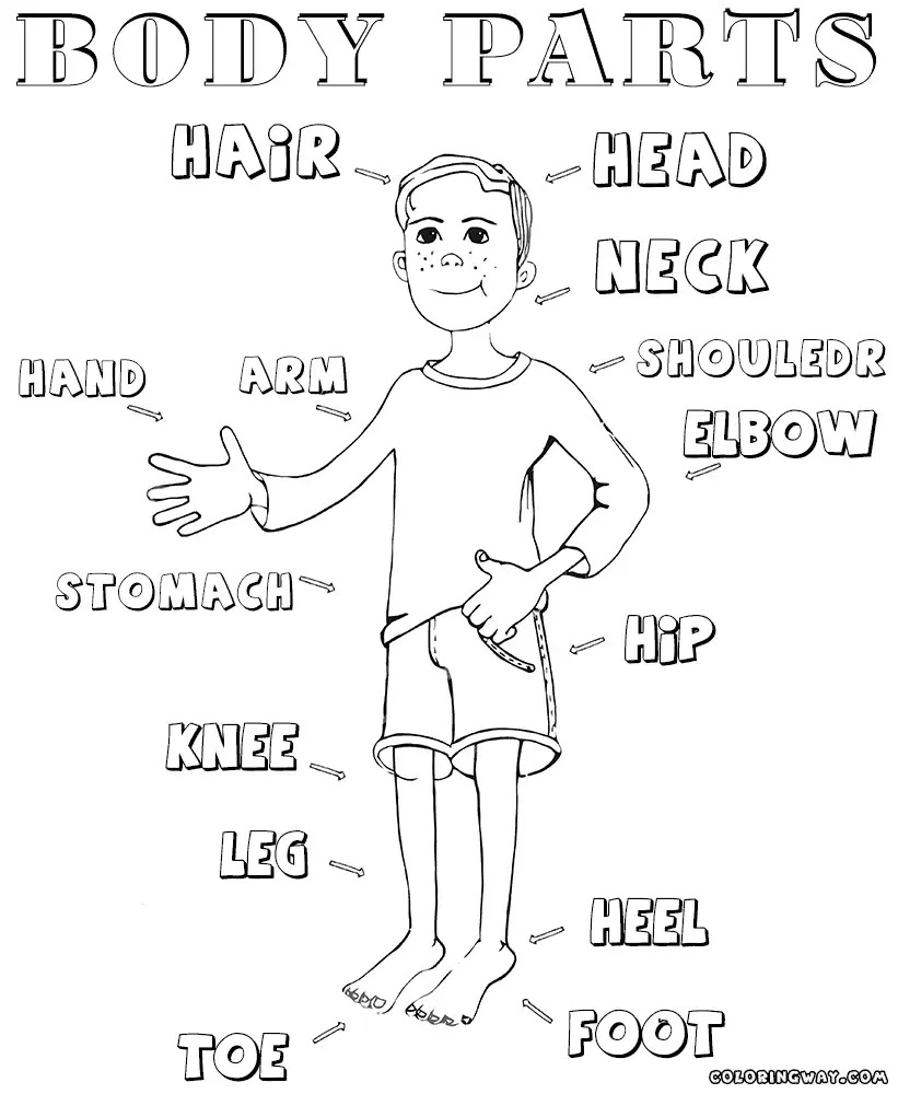 free printable body parts games