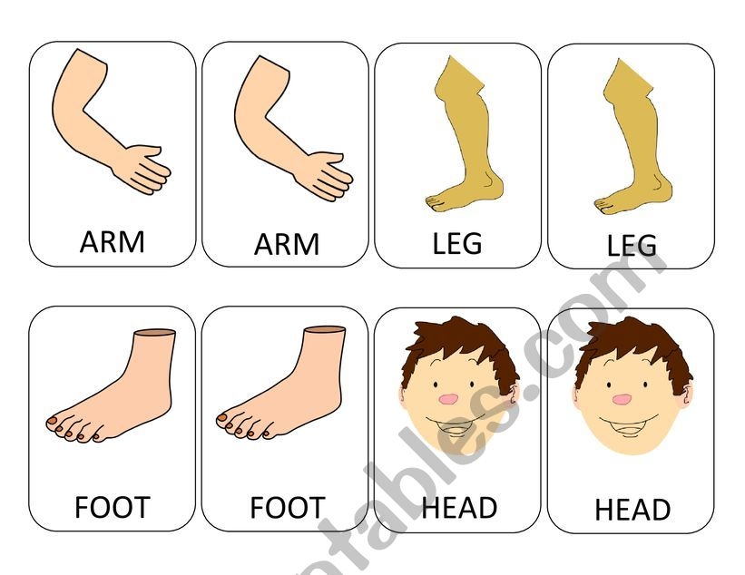 Body Parts Memory Game ESL Worksheet By DayaneLeon
