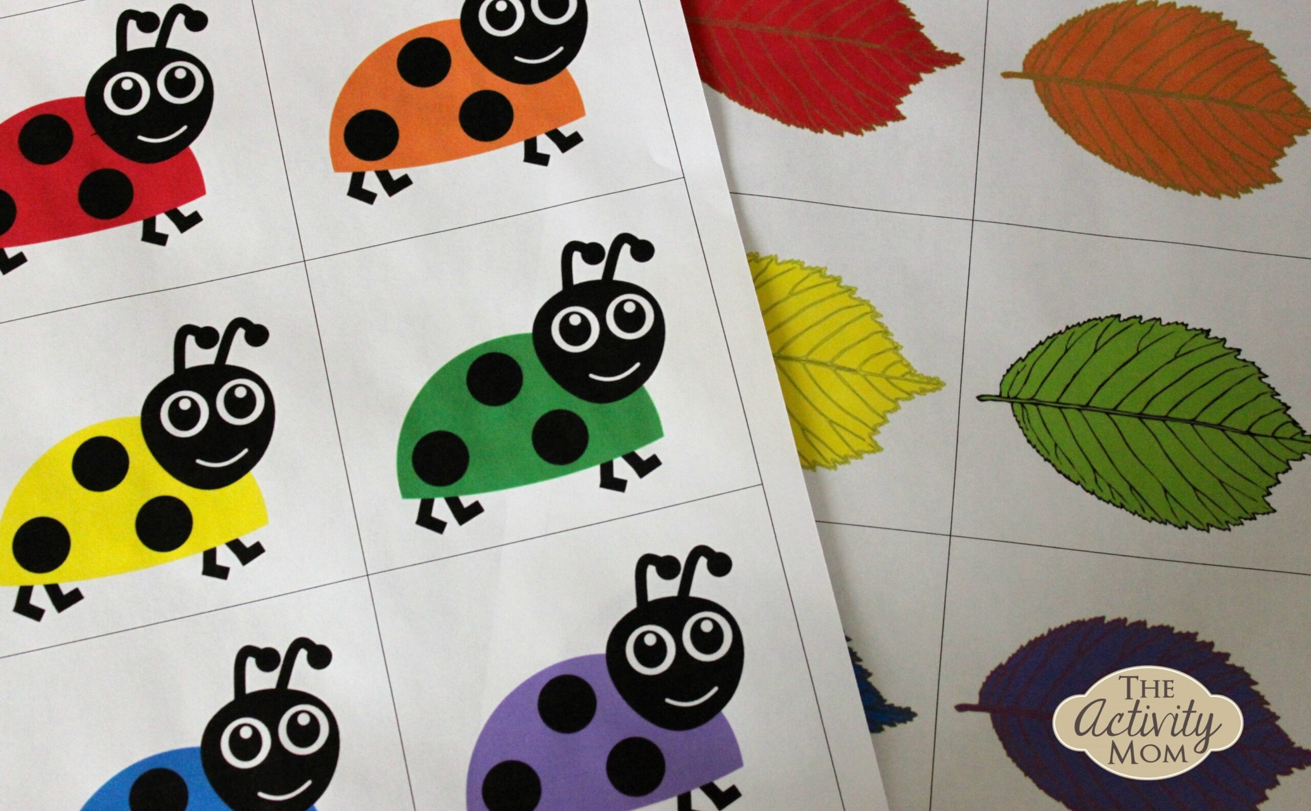 Bug Color Matching Activity printable The Activity Mom