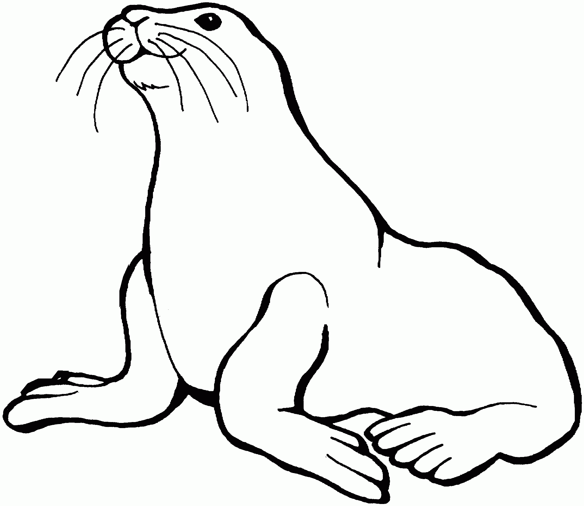 Cartoon Sea Lion ClipArt Best