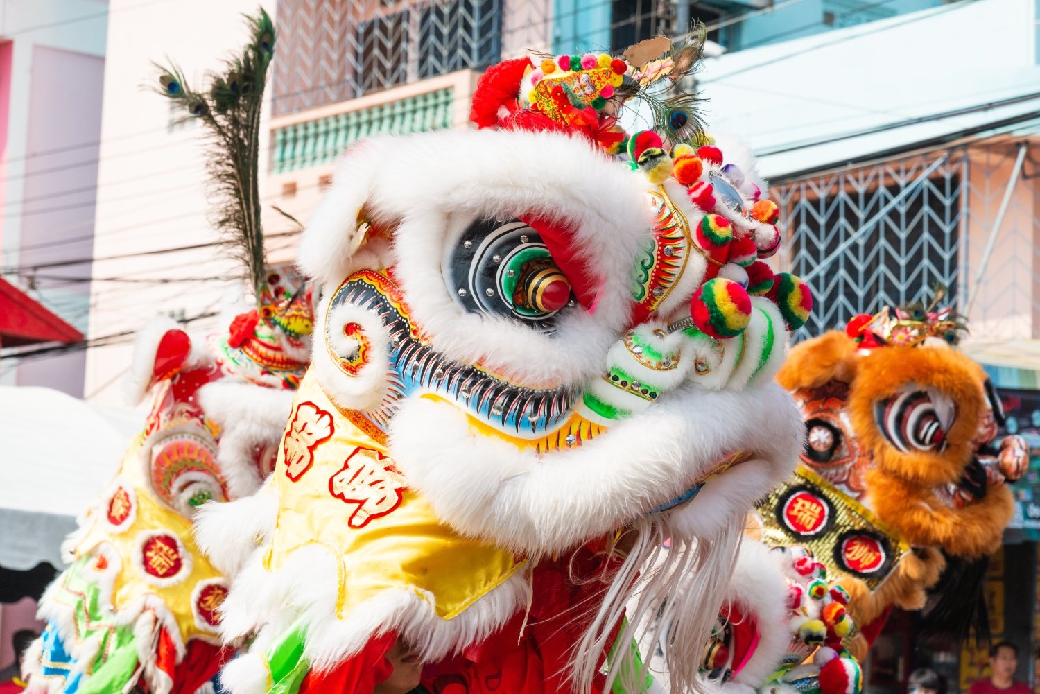 Chinese Lion Dance Parade Victoria International Marina