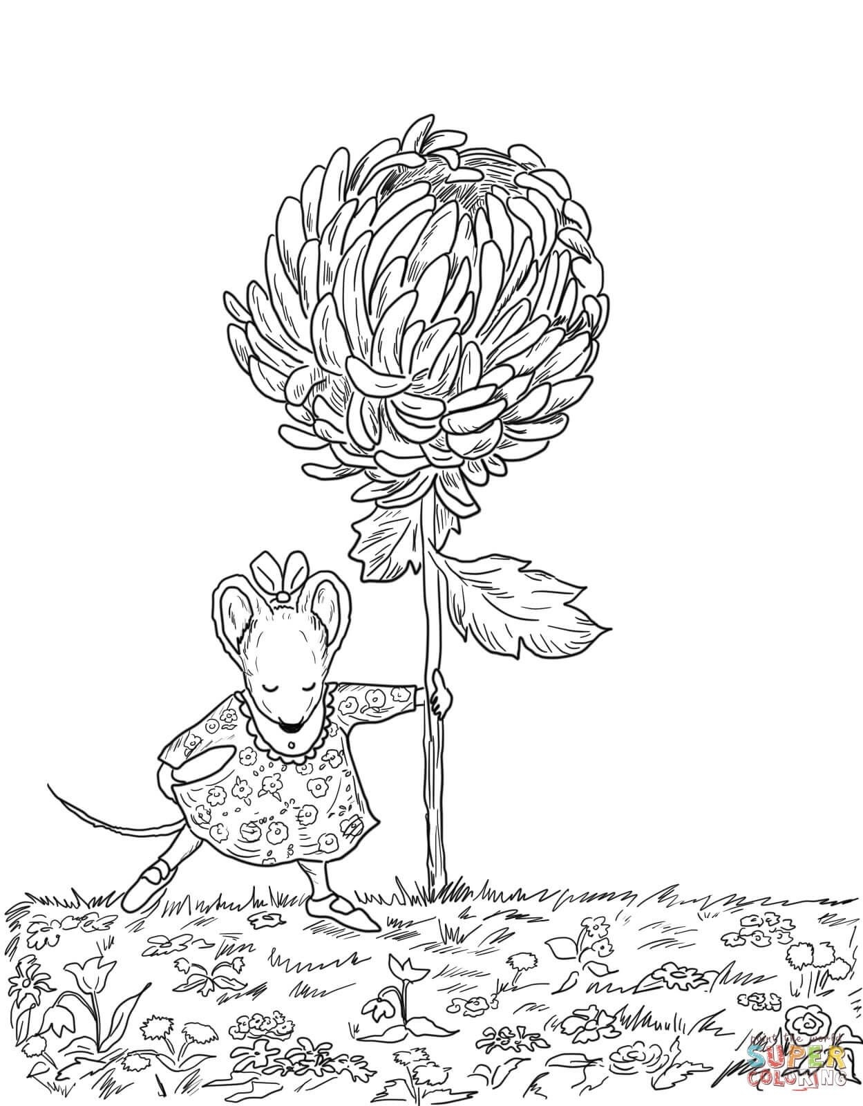 Chrysanthemum Coloring Page Free Printable Coloring Pages Just