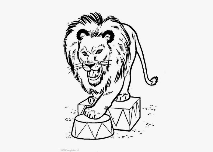 Circus Lion Coloring Pages Free Coloring Pages And Coloring Books For