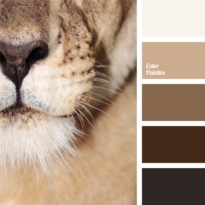 lion brown color